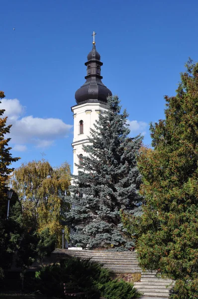 Iglesia de la Santísima Virgen María en Pinsk, República de Belarús —  Fotos de Stock