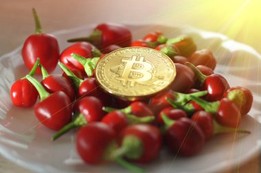 Altın Bitcoin ve kırmızı biber beyaz tabakta.
