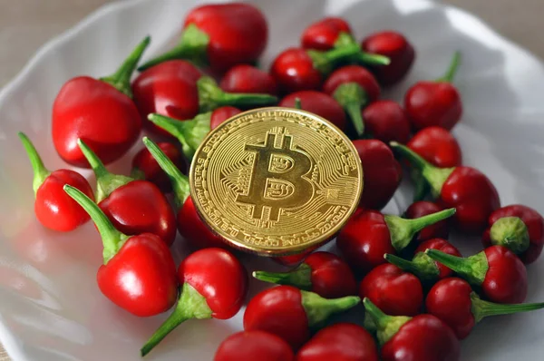 Altın Bitcoin ve kırmızı biber beyaz tabakta.