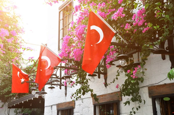 오래 된 건물들의 전면에 있는 터키 국기. — 스톡 사진