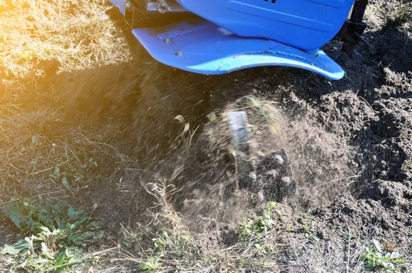 Plowing the land in the garden with a cultivator. a man plows the land with the help of motor cultivator. — Stock Photo, Image