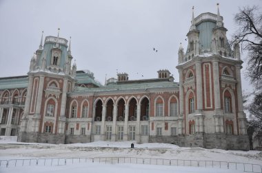 Moskova 'nın manzarası. Kışın Büyük Tsaritsyno Sarayı. Tsaritsyno - Moskova 'daki Saray Müzesi ve Rezerv Parkı