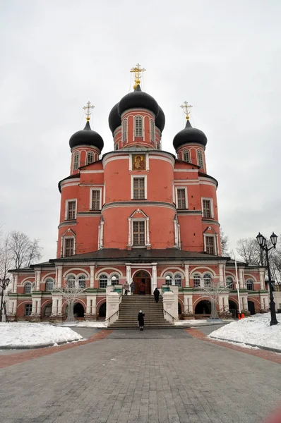 Catedral del Monasterio Donskoy en Moscú. invierno — Foto de Stock