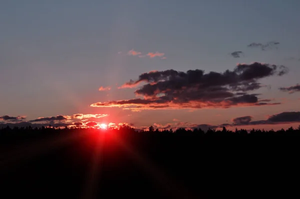 Természetes Naplemente Erdő Felett Világos Drámai Sötét Föld Nap Horizont — Stock Fotó