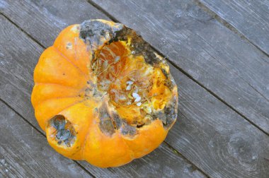 Ahşap bir yüzeyde çürümüş balkabağı. Şımarık balkabağı sağlıksız.