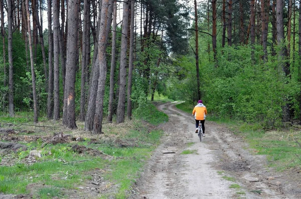 Passeggiate Bicicletta Lungo Strade Forestali Concetto Auto Isolamento Nel Deserto — Foto Stock