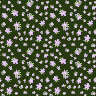 Suluboya sardunya çiçek dikişsiz desen. Web tasarımı, kozmetik tasarımı, paket, tekstil, düğün davetiyesi, logo için mükemmel