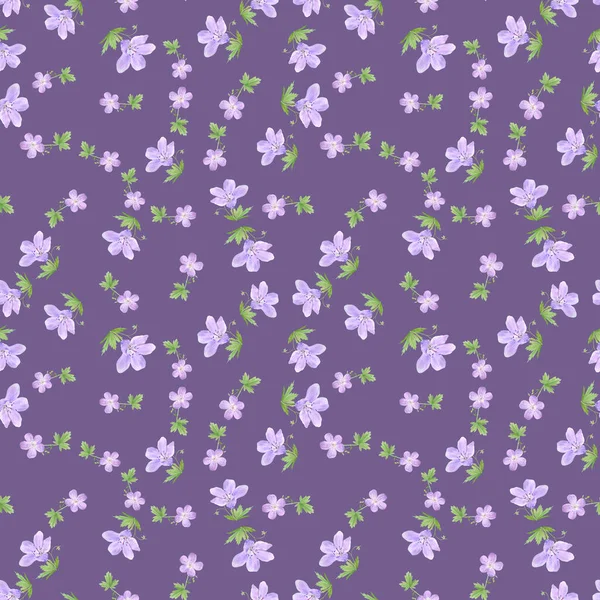 Bezproblémové vzory květů akanianové barvy. Perfektní design pro web, kosmetiku, balíček, textil, svatební pozvání, logo — Stock fotografie
