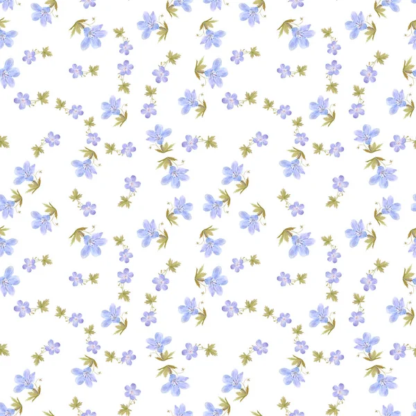 Naadloze patroon van aquarel Geranium bloemen. Perfect voor webdesign, cosmetica design, pakket, textiel, bruiloft uitnodiging, logo — Stockfoto
