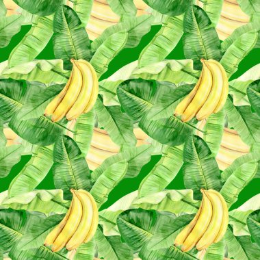 Suluboya çizimi, tropik muz palmiyesi yaprakları ve meyvelerin kusursuz deseni. Arka plan dokusu, ambalaj kağıdı, tekstil ya da duvar kağıdı tasarımı kadar mükemmel. El çizimi