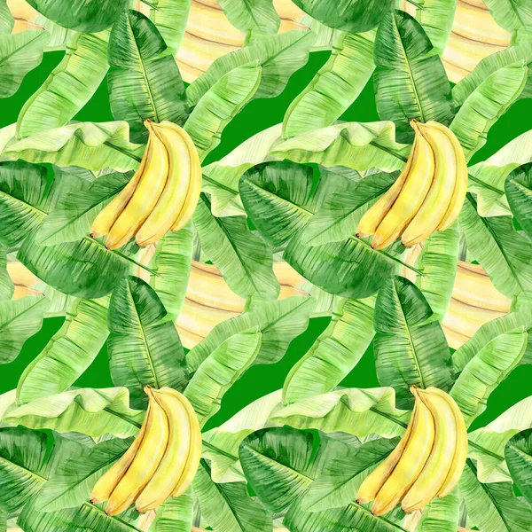 Watercolor illustration seamless pattern of tropical banana palm leaves and fruits. Perfect as background texture, wrapping paper, textile or wallpaper design. Hand drawn