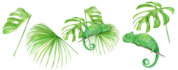 Aquarell Illustration tropische exotische Chamäleon. Perfekt als Hintergrundtextur, Packpapier, Textil- oder Tapetendesign. Handgezeichnete isolierte Tiere und Blätter Set — Stockfoto