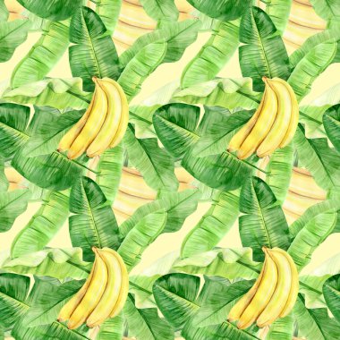 Suluboya çizimi, tropik muz palmiyesi yaprakları ve meyvelerin kusursuz deseni. Arka plan dokusu, ambalaj kağıdı, tekstil ya da duvar kağıdı tasarımı kadar mükemmel. El çizimi