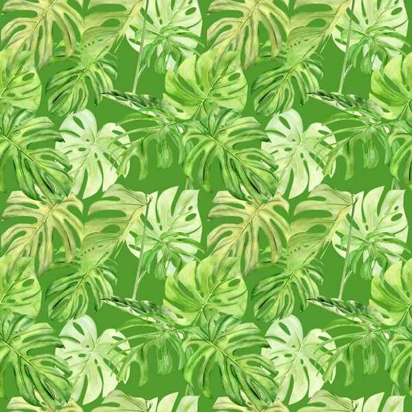 Ilustracja akwarela bezszwowy wzór potwór liści tropikalnych. Idealny jako tło tekstury, papier pakowy, tkaniny lub projekt tapety. Ręcznie rysowane — Zdjęcie stockowe