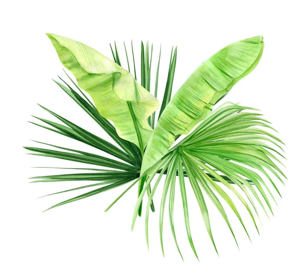 Yeşil palmiye yaprakları buketi. Tropik bitki. Beyaz arka planda elle boyanmış suluboya resimleme. Gerçekçi botanik sanatı. Kumaşlar, davetiyeler, elbiseler ve diğer şeyler için tasarım ögesi — Stok fotoğraf
