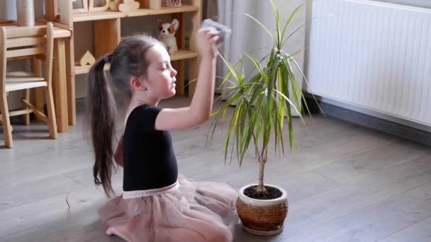 Pequena menina é plantas de sala uma flor em vaso em casa. Ela limpa as folhas de uma planta — Vídeo de Stock