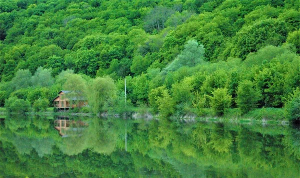 Vacker Morgon Ljus Offentlig Park Med Grönt Gräs Fält — Stockfoto