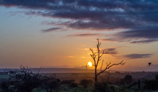 Crepúsculo Instala Sobre Parte Sul Parque Nacional Kruger África Sul — Fotografia de Stock