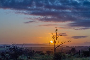 Güney Afrika 'daki Kruger Ulusal Parkı' nın güney bölümündeki kasvetli günbatımı fotokopi alanı ile yatay formatta.