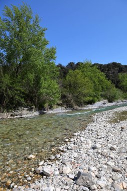 Temiz suyu olan küçük bir dağ nehri