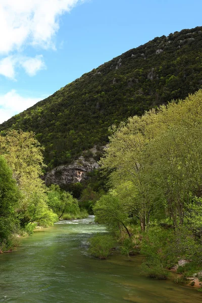 Landschap Met Een Rivier Bomen — Stockfoto