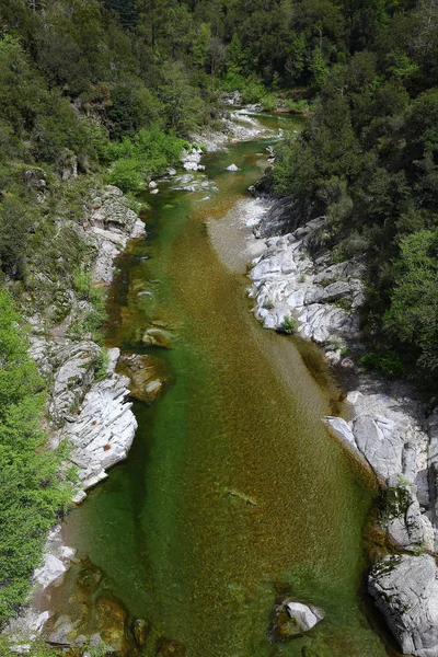 Зеленая Река Горах Севенна — стоковое фото