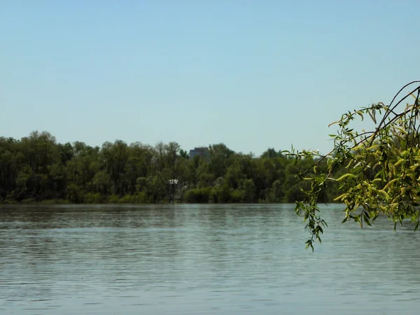 Paesaggio Primavera Sulla Riva Del Fiume — Foto Stock