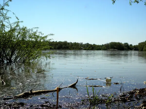 Fiume Irtysh Scorre Omsk — Foto Stock