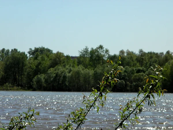 Fiume Irtysh Con Una Forte Corrente Primavera — Foto Stock