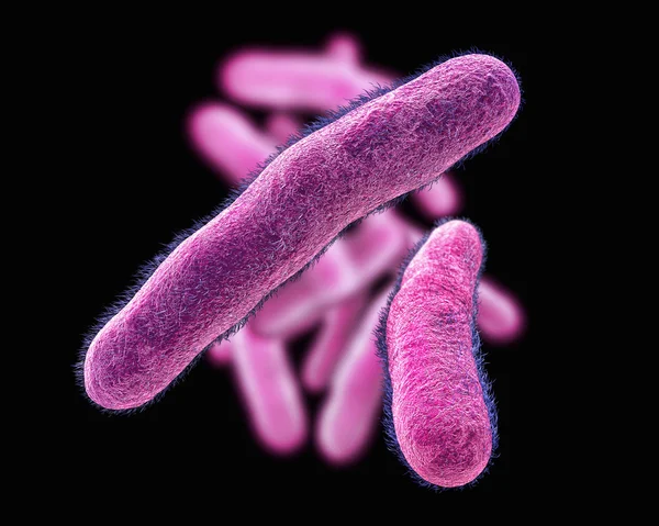 Shigella 박테리아, 3d 렌더링 — 스톡 사진