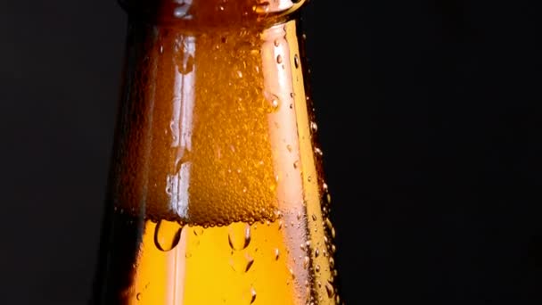 Botella de cerveza con gota de agua cayendo — Vídeo de stock