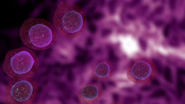 3D. Cell, Human Cell, Animal Cell. — Stock Video © Giovanni_Cancemi #136663238 3D. Cell, Human Cell, Animal Cell. — Stock Video © Giovanni_Cancemi #136663238