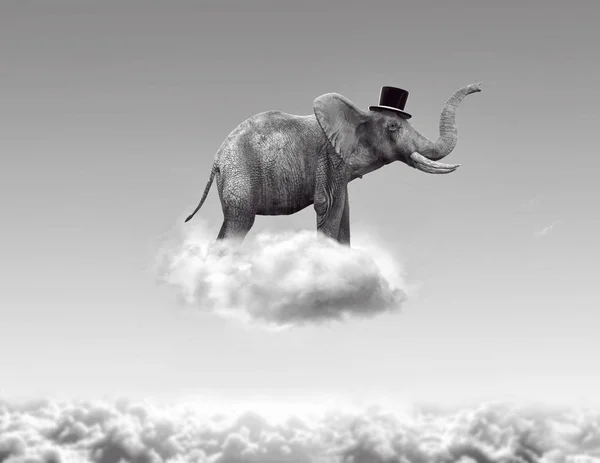 Elefante volando en las nubes — Foto de Stock