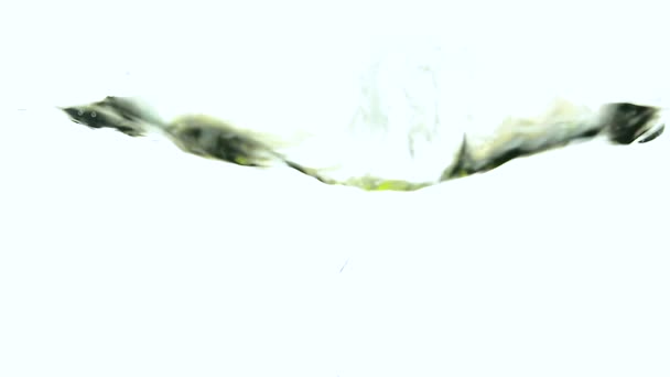 Citron v šplouchání vody izolovaných na bílém pozadí — Stock video