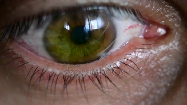 Lidský, zelené zdravé oko makro — Stock video