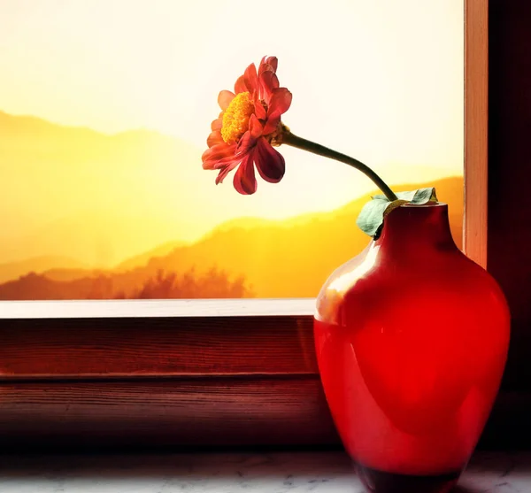 Váza virággal a naplemente — Stock Fotó