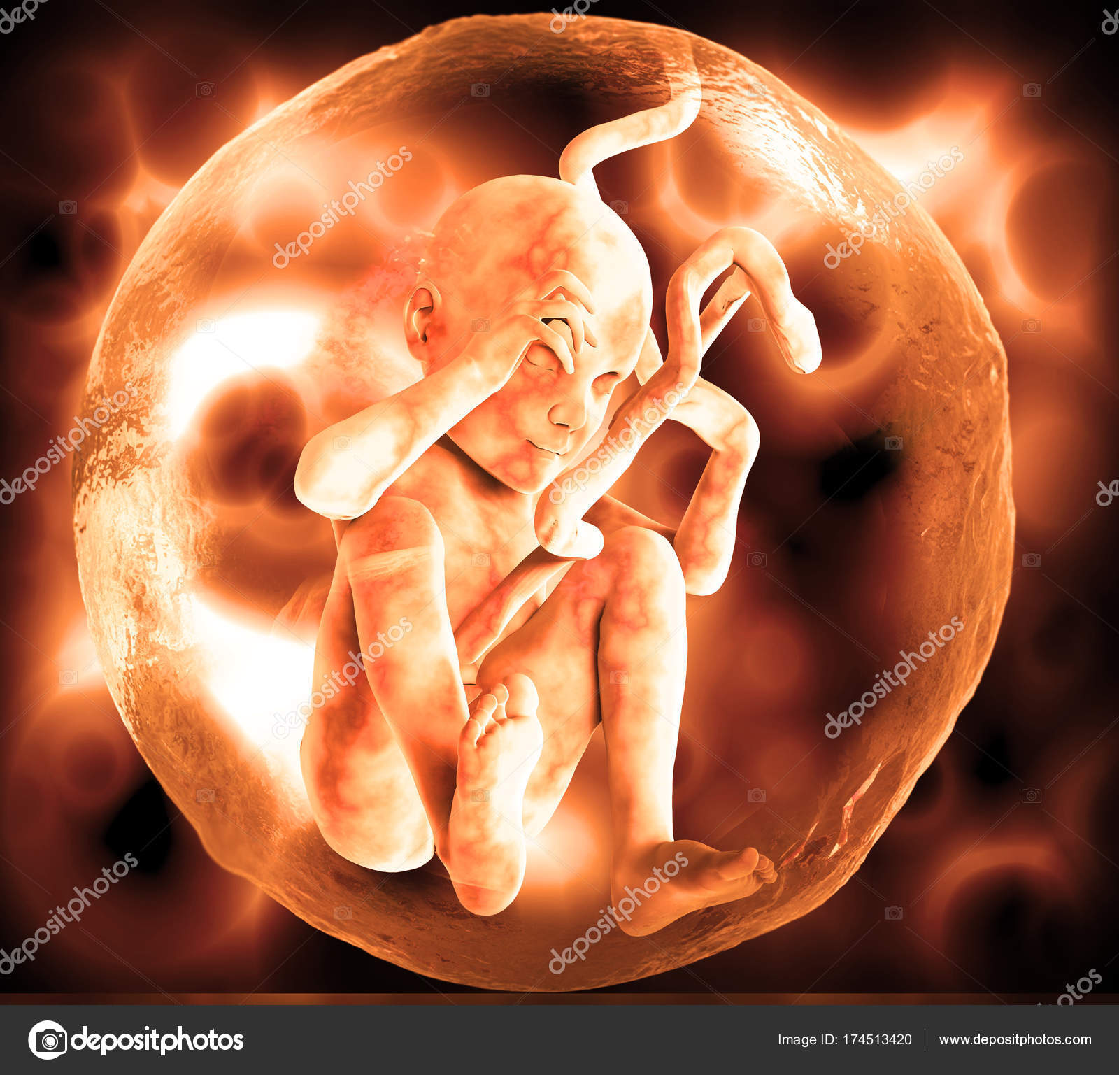 Human Fetus And Dna Medical Concept Graphic And Scientific Stock Photo