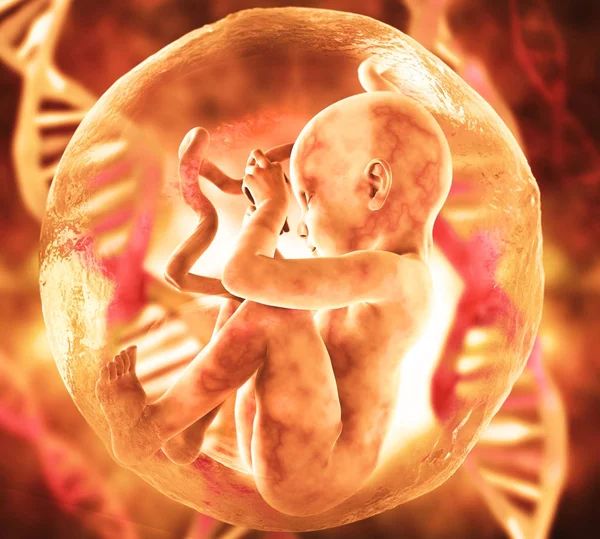 Menselijke foetus en Dna medische concept afbeelding en wetenschappelijk — Stockfoto