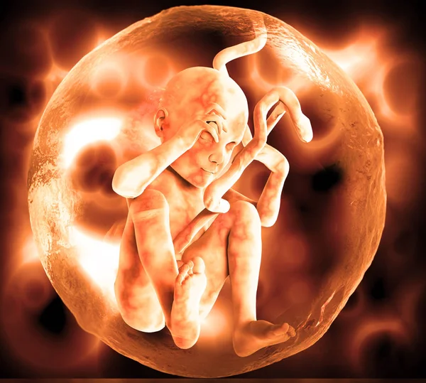 Human Fetus and Dna Medical concept Graphic and Scientific — Stock Photo, Image