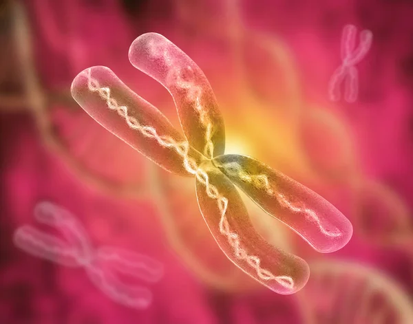 Cromosomas Representación — Foto de Stock