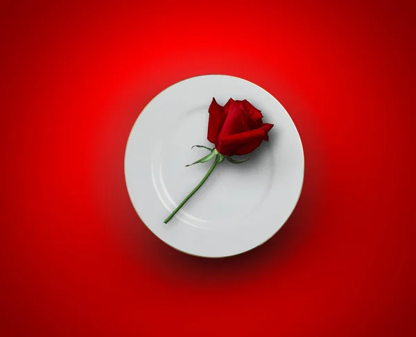 Eine Rose Auf Dem Teller Mit Rotem Hintergrund — Stockfoto