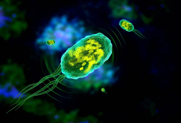 Bacteria to reflect 'sonar' signals for ultrasound — Stock Photo, Image