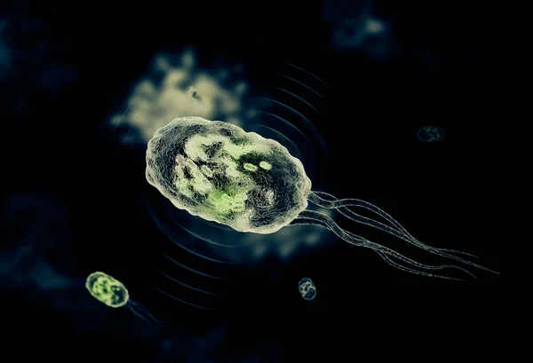 Bacteriën om na te denken 'sonar' signalen voor echografie — Stockfoto