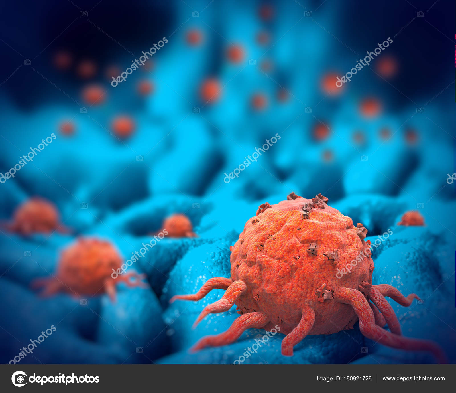 The Most Extreme Animal PetsWall