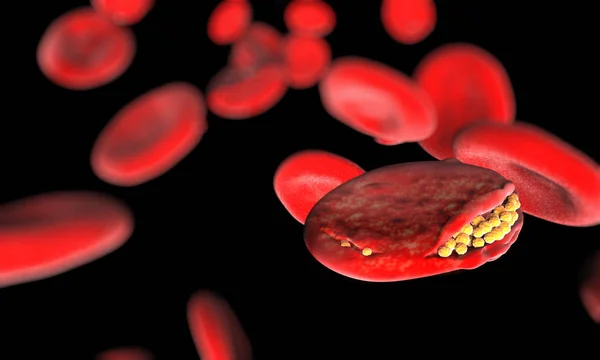 Célula do vírus da malária - ilustração 3D — Fotografia de Stock