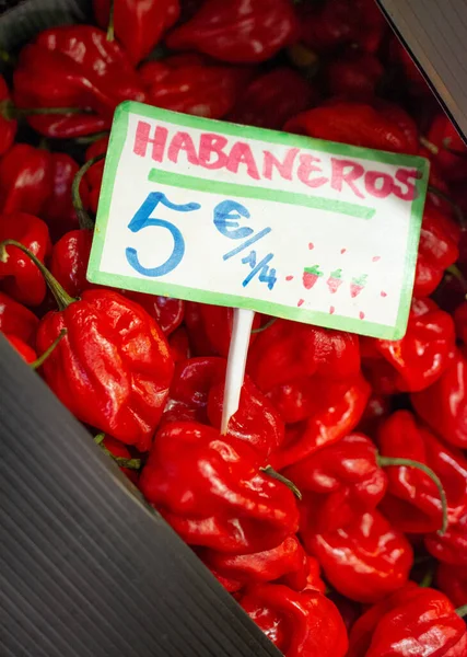 Habanero พริกไทยร้อนที่ตลาด — ภาพถ่ายสต็อก