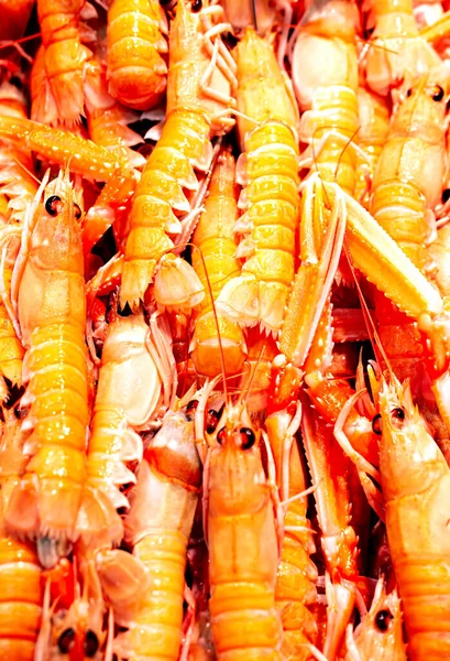 Fresh shellfish from the Mediterranean Sea at the market — Stock Photo, Image
