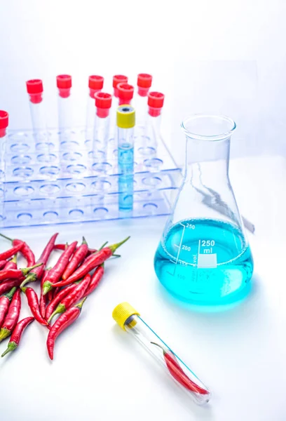 Laboratorio di analisi con peperoncino in tabella per esperimenti — Foto Stock