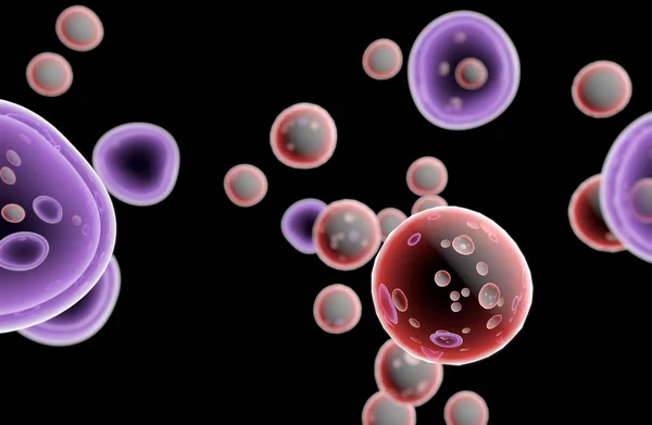 Ембріональні стовбурні клітини клітинної терапії регенерації — стокове фото