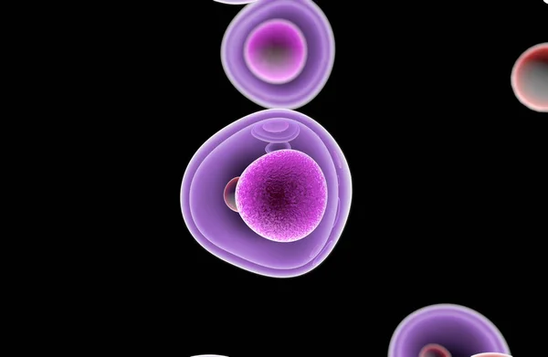 Embryonic Stem Cells Cellular-Therapy Regeneration — Stock Photo, Image